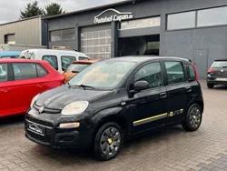 Schwarz Gebraucht 2014 Fiat Panda Young Kleinwagen | 6.799 € (Fairer Preis)