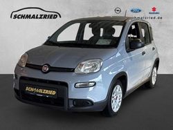 Grau Gebraucht 2023 Fiat Panda Kleinwagen | 10.970 € (Fairer Preis)