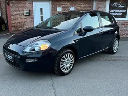 Blau Gebraucht 2013 Fiat Punto Kleinwagen | 3.850 € (Fairer Preis)