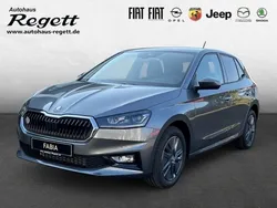 Grau Neu 2025 Skoda Fabia Selection Kleinwagen | 28.490 € (Teuer)
