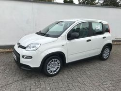 Weiß Gebraucht 2024 Fiat Panda Kleinwagen | 14.795 € (Fairer Preis)