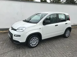 Weiß Neu 2024 Fiat Panda Kleinwagen | 15.495 €