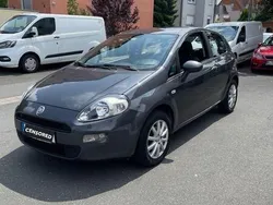Grau Gebraucht 2014 Fiat Punto Kleinwagen | 3.290 € (Fairer Preis)