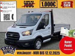 Frozen white Neu 2025 Ford Transit Trend | 38.080 € (Superpreis)