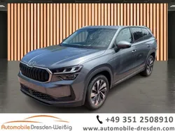 Grau Gebraucht 2024 Skoda Kodiaq Selection SUV | 38.880 € (Guter Preis)