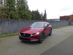 Neu 2025 Mazda CX-30 Homura-Line SUV | 36.890 €