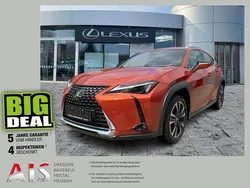 Blazing carnelian Gebraucht 2023 Lexus UX 250h SUV | 31.990 € (Fairer Preis)