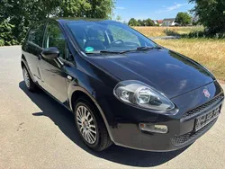 Gebraucht 2013 Fiat Punto More Kleinwagen | 3.999 € (Guter Preis)