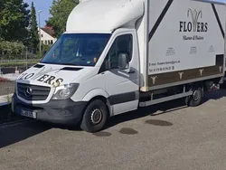 Weiß Gebraucht 2017 Mercedes Sprinter Van | 18.499 € (Etwas zu teuer)