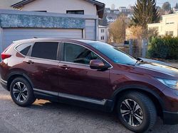 Braun Gebraucht 2019 Honda CR-V Comfort SUV | 18.990 € (Fairer Preis)