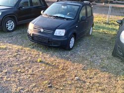 Blau Gebraucht 2010 Fiat Panda Kleinwagen | 2.699 € (Fairer Preis)