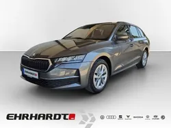 Grau Gebraucht 2024 Skoda Octavia Selection Kombi | 31.490 € (Guter Preis)