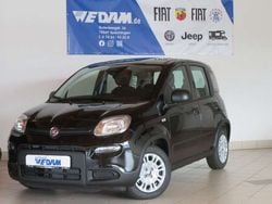 Schwarz Gebraucht 2024 Fiat Panda Urban Kleinwagen | 14.500 € (Fairer Preis)