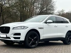 Weiß Gebraucht 2017 Jaguar F-Pace Portfolio SUV | 16.900 € (Guter Preis)