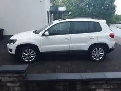 Weiß Gebraucht 2013 VW Tiguan Trendline SUV | 10.200 € (Guter Preis)