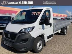 Ducato weiß Gebraucht 2022 Fiat Ducato Van | 38.900 €