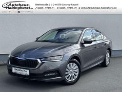 Grau Gebraucht 2022 Skoda Octavia Active Limousine | 18.980 € (Superpreis)