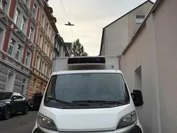Weiß Gebraucht 2016 Fiat Ducato Van | 14.000 € (Fairer Preis)