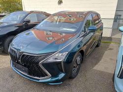 Grün Gebraucht 2025 Forthing Yacht/4 U-Tour Van / Kleinbus | 29.990 € (Fairer Preis)