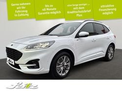 Weiß Gebraucht 2021 Ford Kuga ST-Line X SUV | 22.950 € (Fairer Preis)