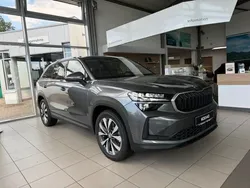 Grau Neu 2024 Skoda Kodiaq Selection SUV | 57.990 €