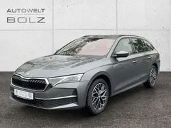 Grau Gebraucht 2024 Skoda Octavia Selection Kombi | 30.990 € (Guter Preis)