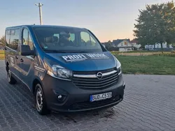 Blau Gebraucht 2018 Opel Vivaro Van | 12.800 € (Teuer)