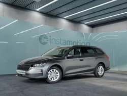 Grau Neu 2024 Skoda Octavia Kombi | 31.499 € (Guter Preis)
