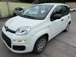 Weiß Gebraucht 2020 Fiat Panda Kleinwagen | 7.990 € (Guter Preis)
