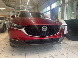 Neu 2025 Mazda CX-30 Exclusive-Line SUV | 33.100 €