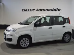 Weiß Gebraucht 2016 Fiat Panda Pop Kleinwagen | 4.990 € (Fairer Preis)