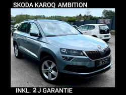 Grau Gebraucht 2018 Skoda Karoq Ambition SUV | 14.999 € (Guter Preis)