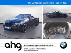Schwarz Gebraucht 2019 BMW 220 M Sport Cabrio | 27.930 € (Teuer)