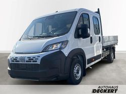 Weiss (pastell)) (weiss Neu 2025 Fiat Ducato Van | 35.890 € (Fairer Preis)