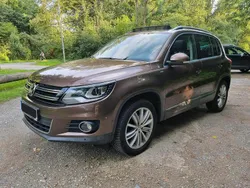 Braun Gebraucht 2014 VW Tiguan Cup SUV | 12.199 € (Guter Preis)