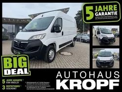 Casabl/arctic/eisweiss/kaolin Gebraucht 2023 Opel Movano Edition Van | 22.980 € (Fairer Preis)
