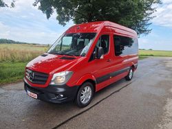 Rot Gebraucht 2016 Mercedes Sprinter Van | 15.900 € (Etwas zu teuer)