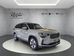 Grau Gebraucht 2024 Skoda Kodiaq SUV | 43.490 € (Superpreis)