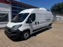 Weiß Gebraucht 2021 Fiat Ducato Van | 24.900 € (Etwas zu teuer)
