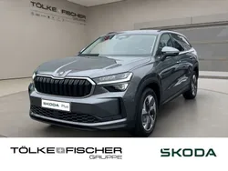 Grau Gebraucht 2024 Skoda Kodiaq Selection SUV | 37.889 € (Fairer Preis)