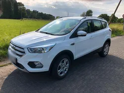 Weiß Gebraucht 2019 Ford Kuga Trend SUV | 14.500 € (Guter Preis)