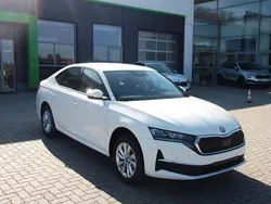 Kristallweiss Neu 2025 Skoda Octavia Selection Limousine | 29.393 € (Superpreis)