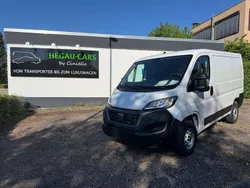 Weiß Gebraucht 2023 Fiat Ducato Van | 31.490 € (Teuer)