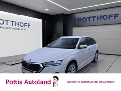 Weiß Gebraucht 2023 Skoda Octavia Style Kombi | 21.977 € (Guter Preis)