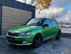 Grün Gebraucht 2015 Skoda Fabia Style Kleinwagen | 6.900 € (Guter Preis)