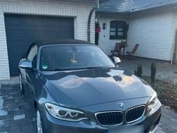 Grau Gebraucht 2017 BMW 218 M Sport Cabrio | 20.222 € (Fairer Preis)