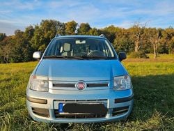 Blau Gebraucht 2010 Fiat Panda Kleinwagen | 1.699 € (Guter Preis)