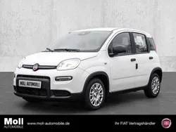 Gelato weiß Neu 2025 Fiat Panda Kleinwagen | 13.975 € (Guter Preis)