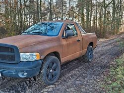 Braun Gebraucht 2004 Dodge Ram Abholung | 12.000 € (Superpreis)
