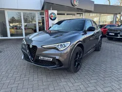Grau Gebraucht 2023 Alfa Romeo Stelvio Quadrifoglio SUV | 67.477 € (Teuer)